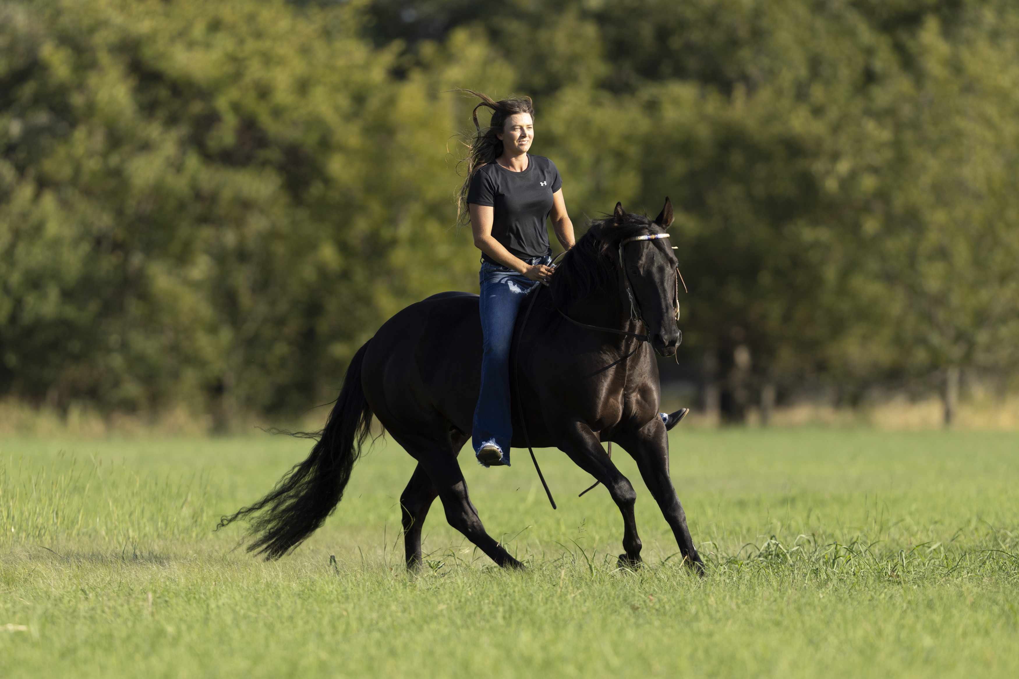 PIEORITIES - Stallions - Ruby Buckle